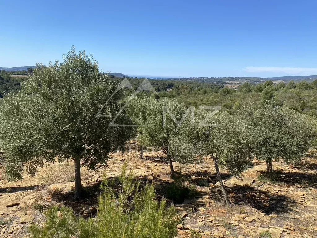 SUBLIME PROPRIÉTÉ OLEO-VITICOLE EN PROVENCE