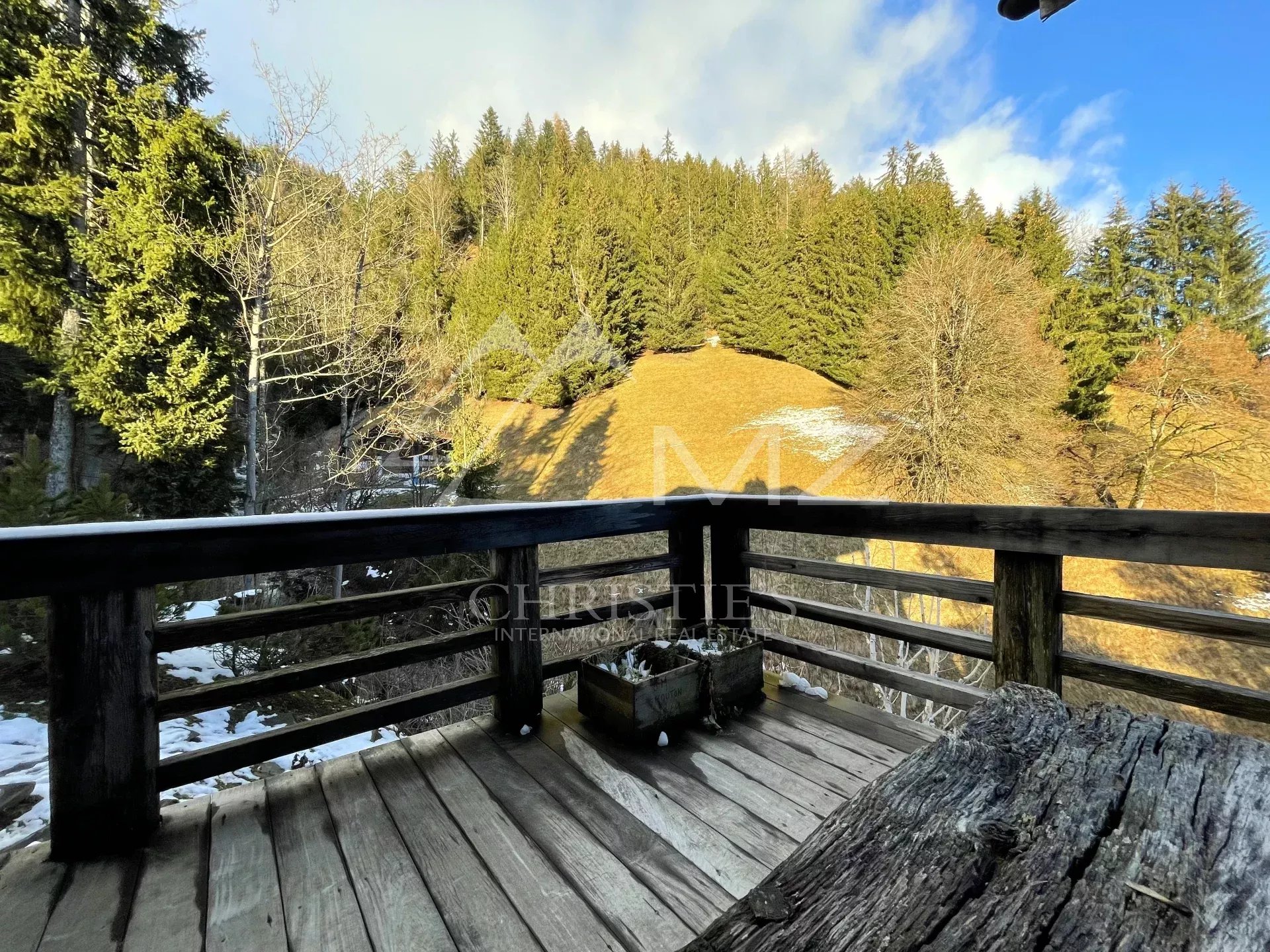 Schönes Chalet oberhalb von Rougemont