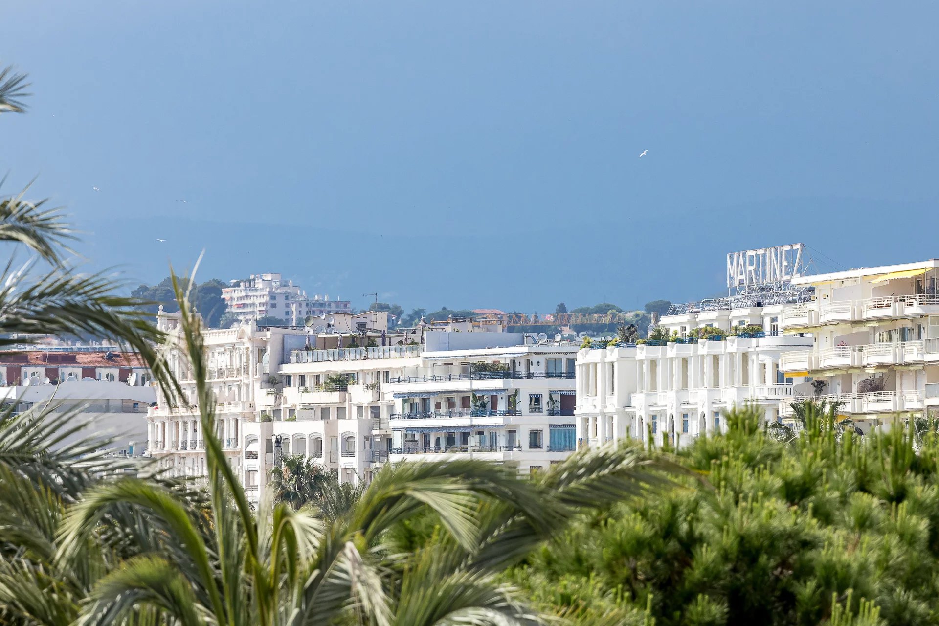 Cannes Croisette - superbe 2 chambres