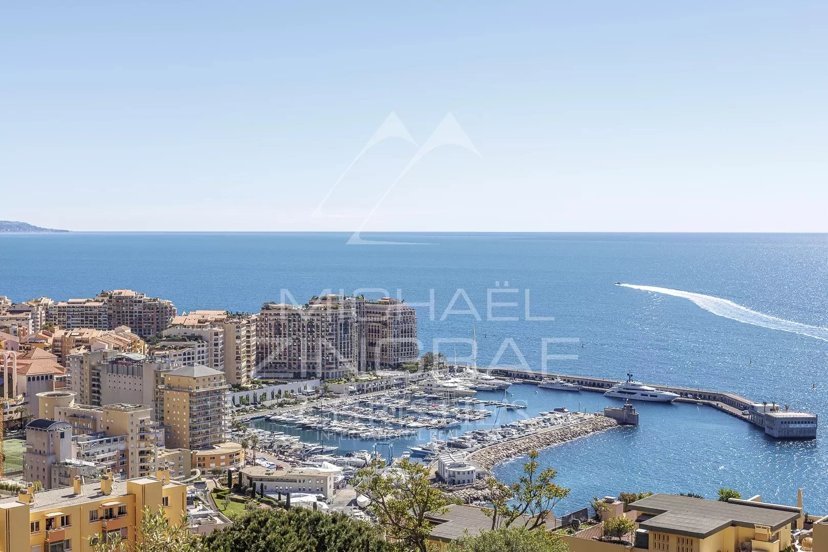 Magnifique appartement - vue mer panoramique - proche Monaco