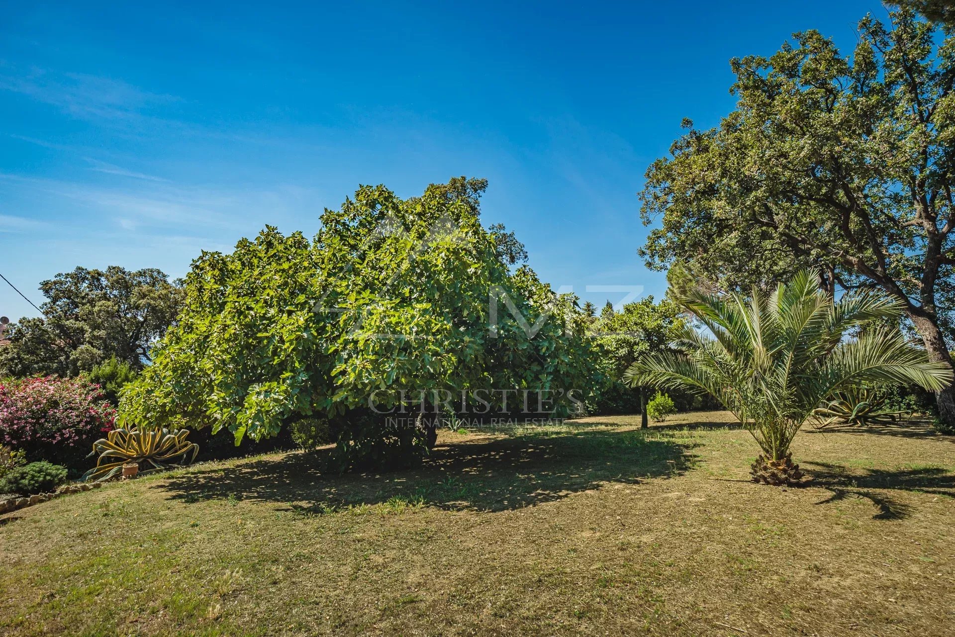 FORT POTENTIEL - VILLA PROVENCALE - VUE MER