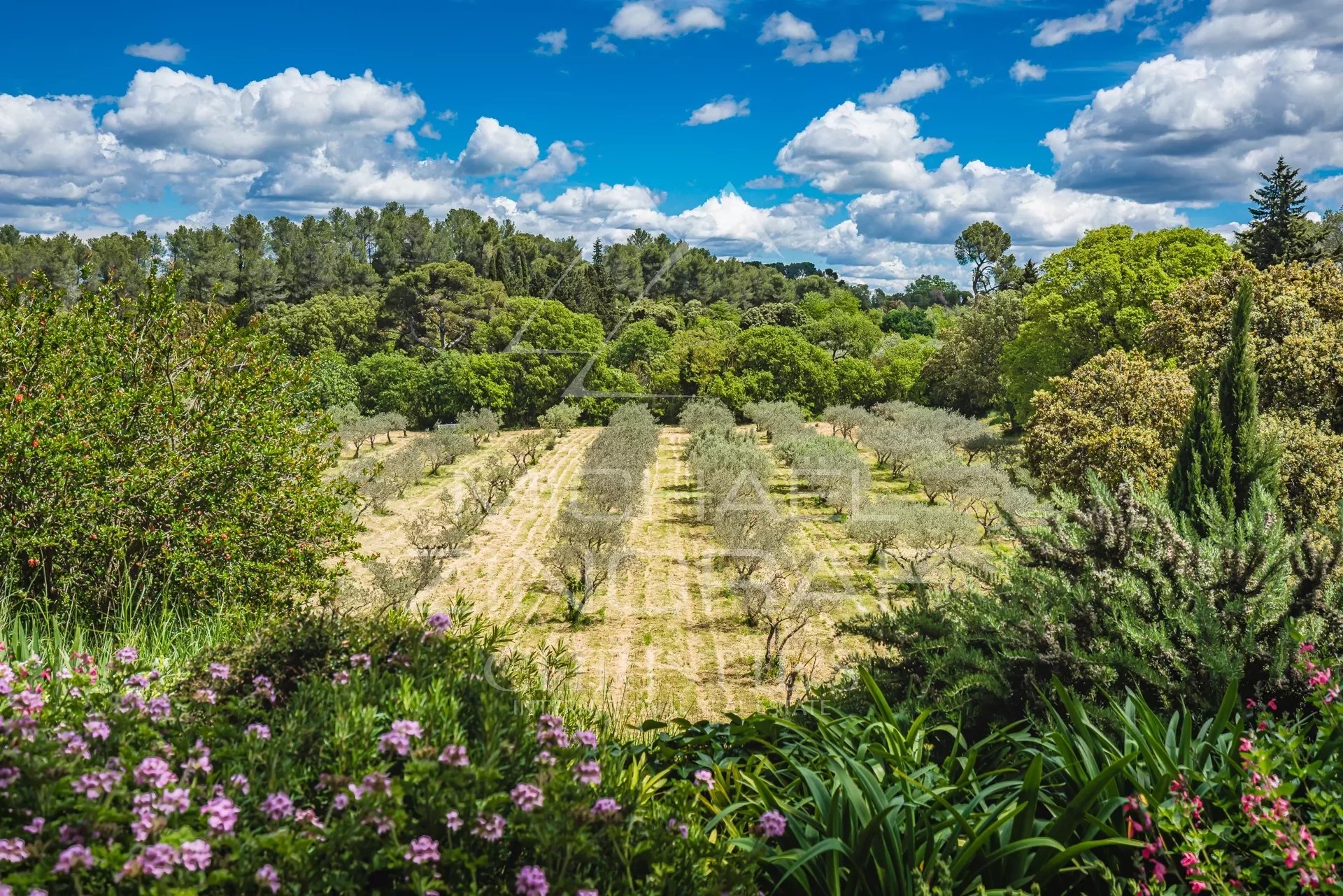 Luxueuse propriété avec jardin paysager près de Saint Rémy de Provence