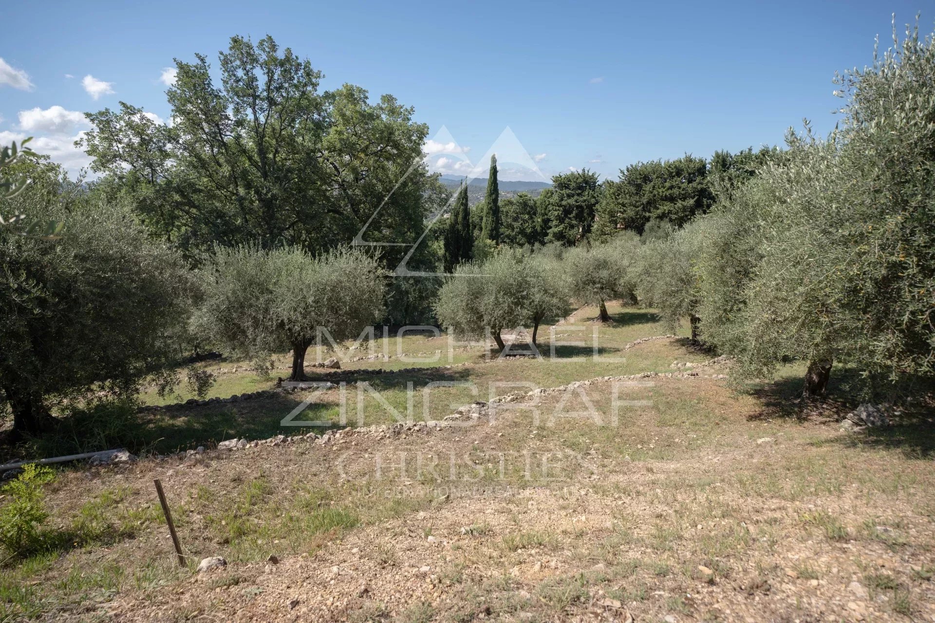 7/8p villa in a quiet area with sea and olive grove view