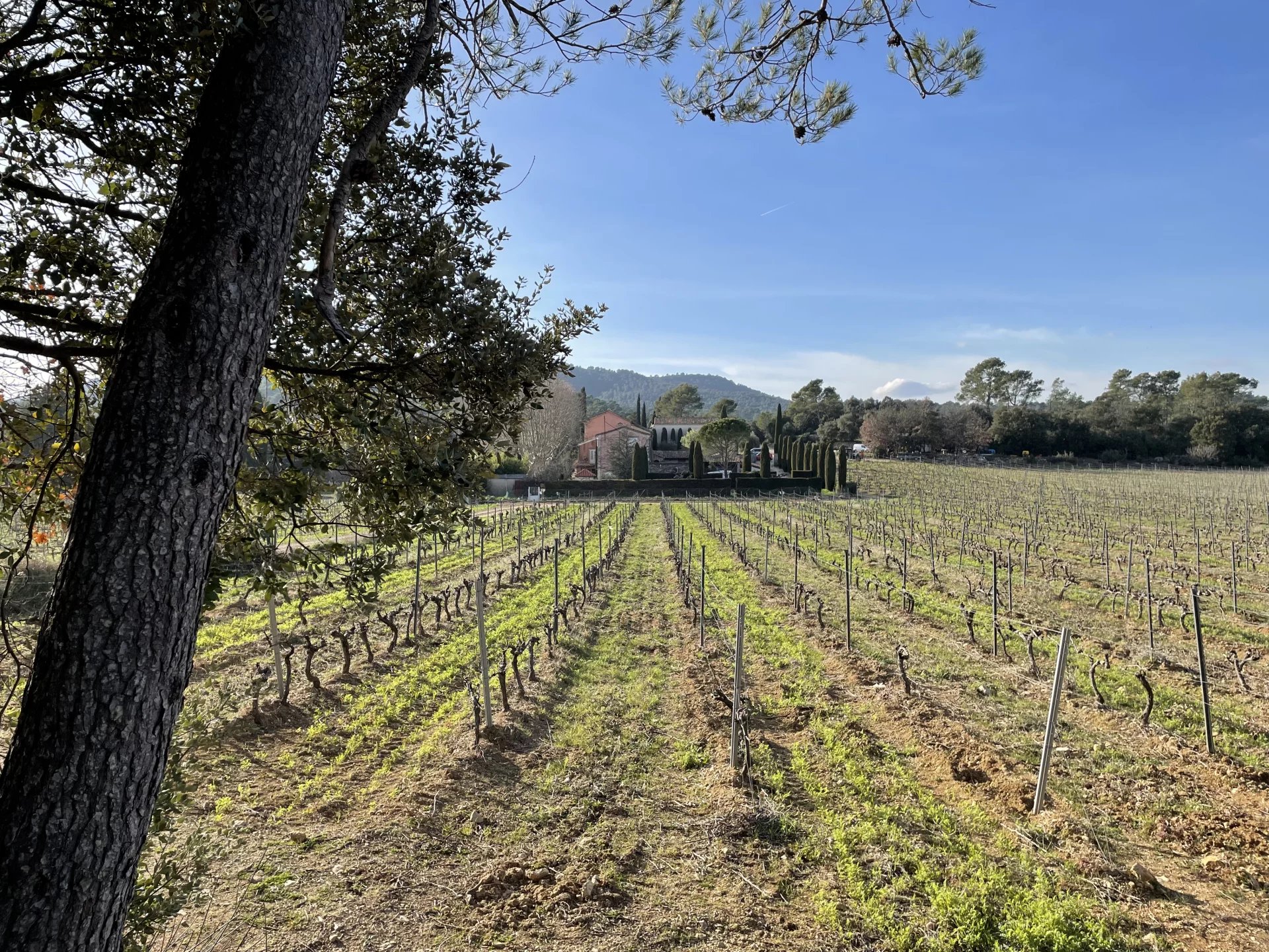 BASTIDE DE CHARME AU COEUR DU TERROIR DES CÔTES DE PROVENCE