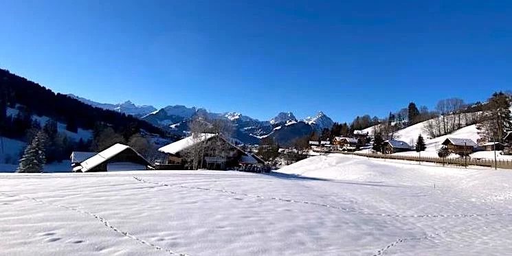 Location saisonnière d'un chalet à Haute de Schönried