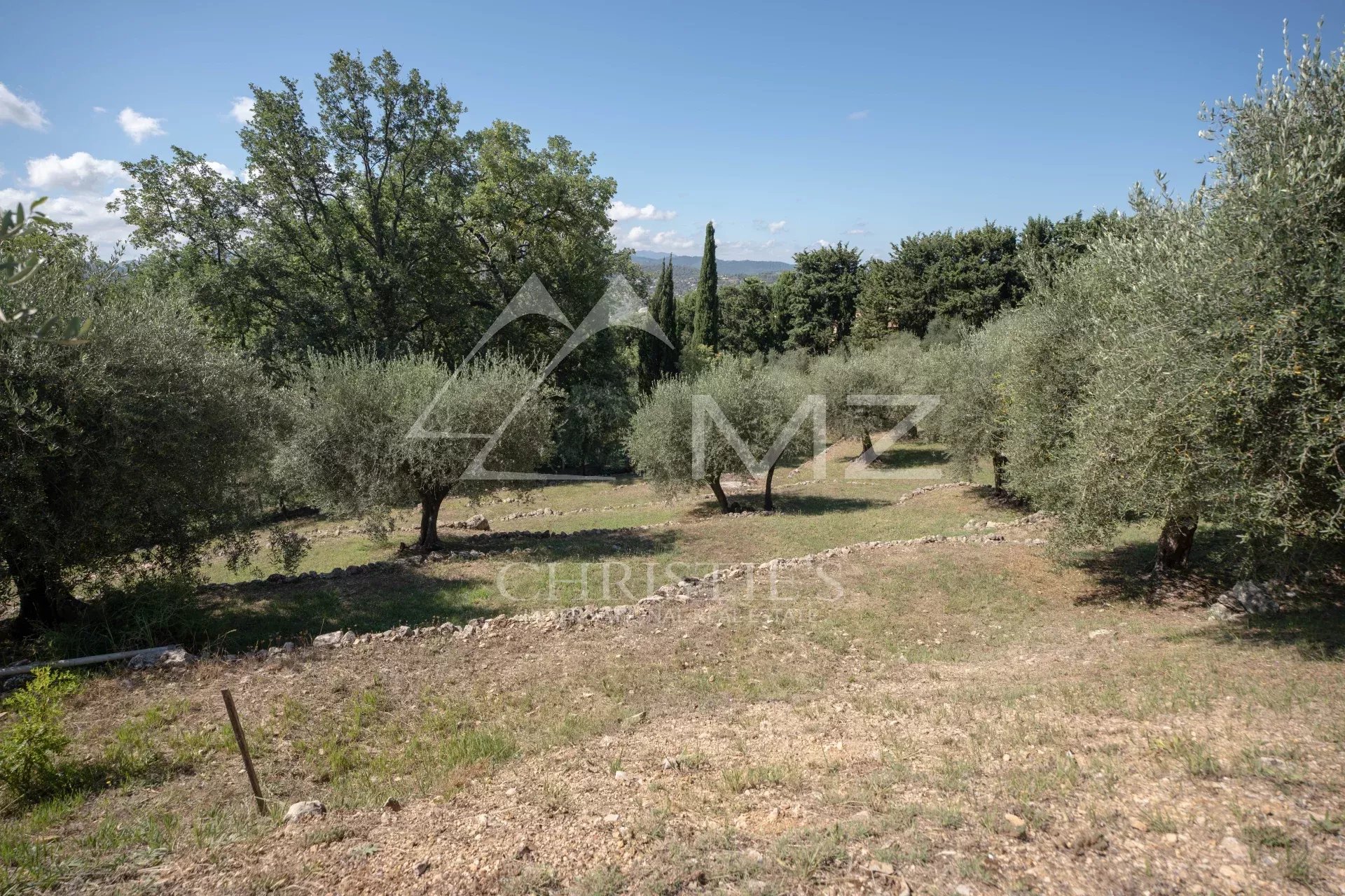 7/8p villa in a quiet area with sea and olive grove view