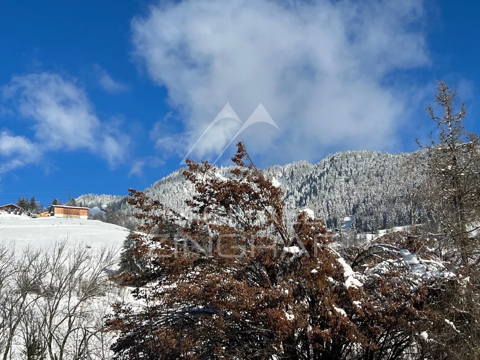 Charmantes Chalet im Herzen von Praz-sur-Arly