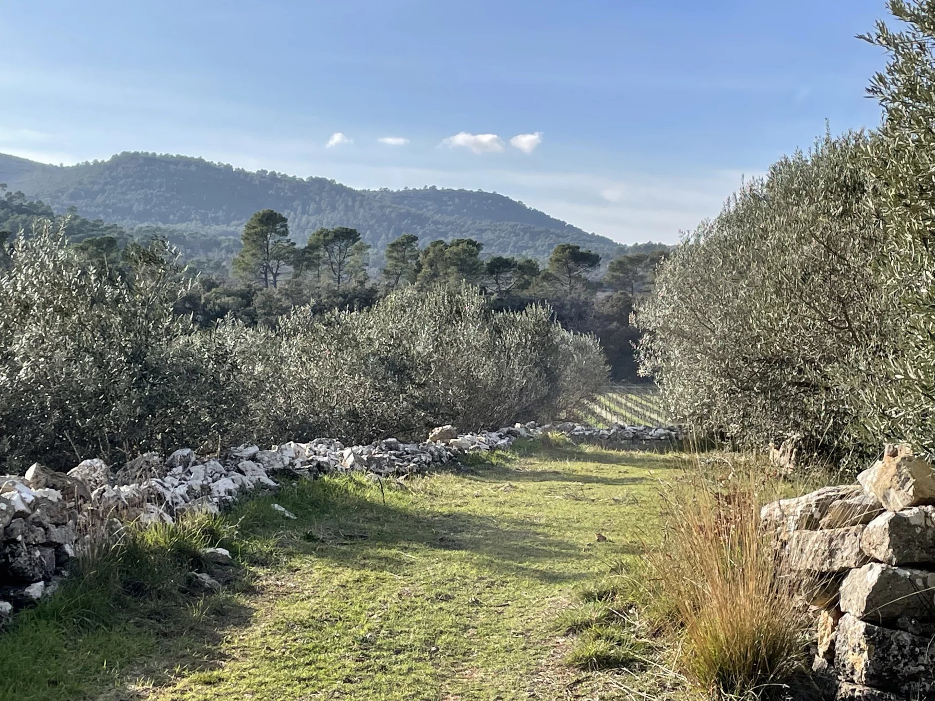 BASTIDE DE CHARME AU COEUR DU TERROIR DES CÔTES DE PROVENCE