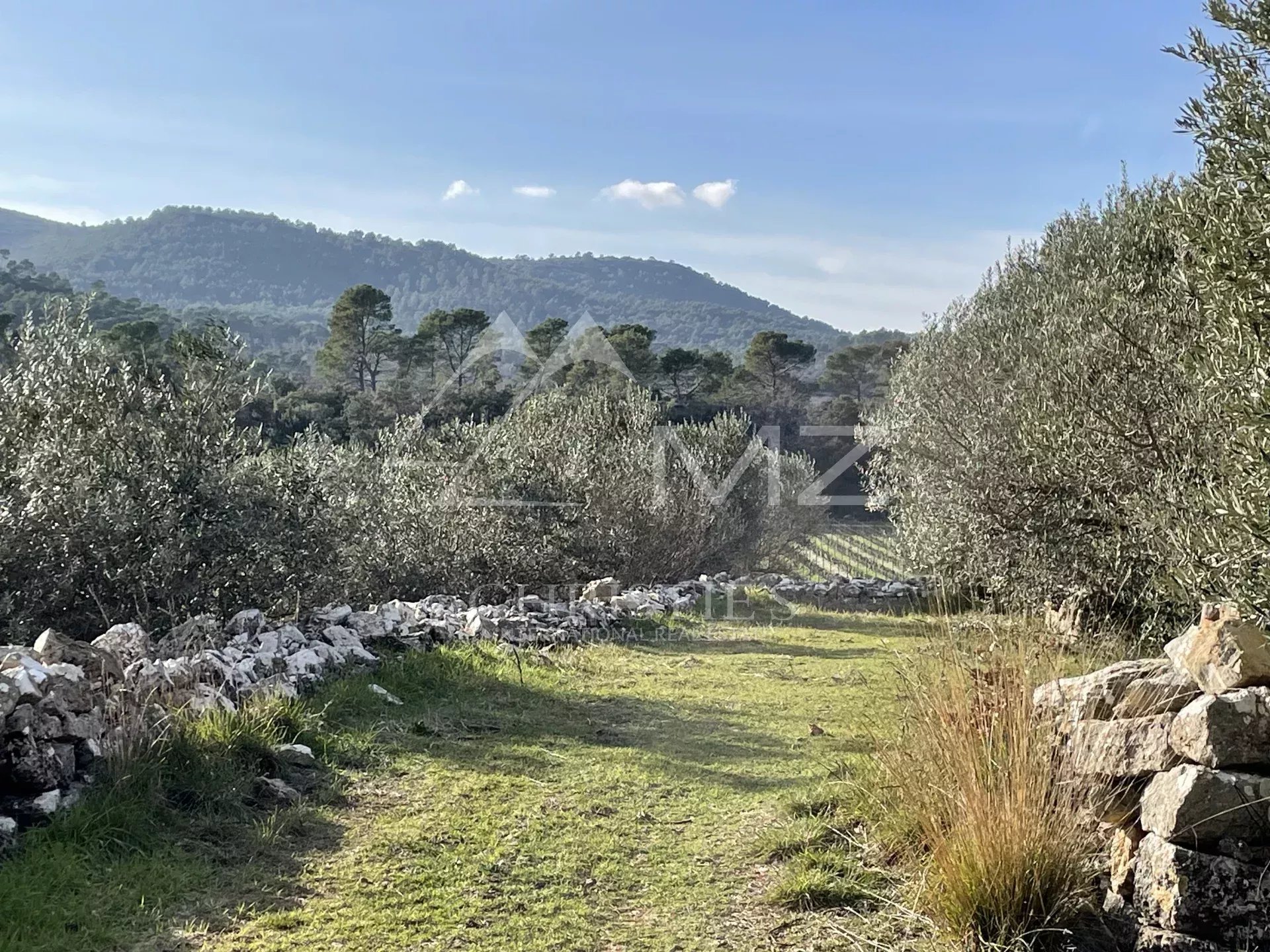 BASTIDE DE CHARME AU COEUR DU TERROIR DES CÔTES DE PROVENCE