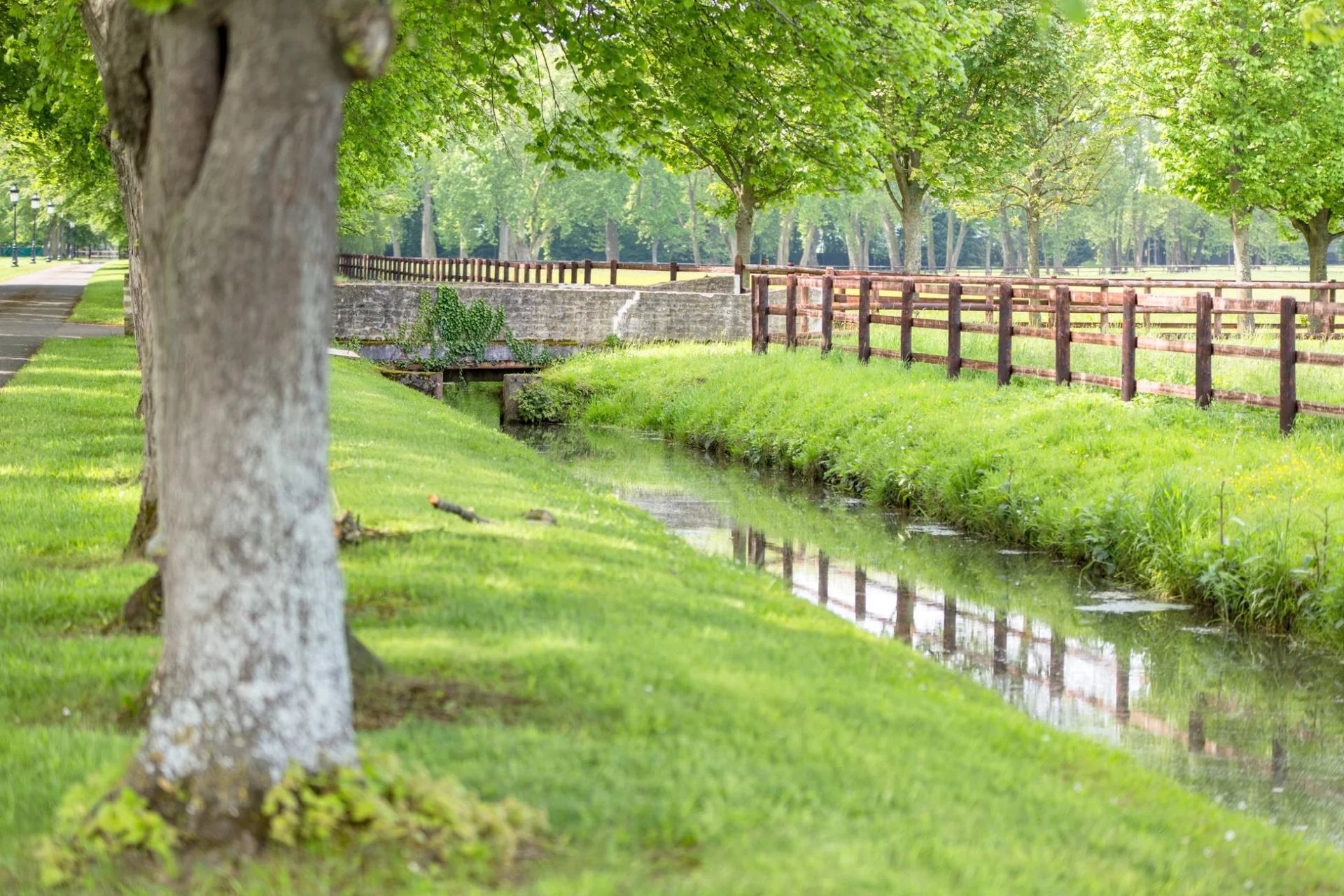 Haras d'élevage et de villégiature - 120 hectares