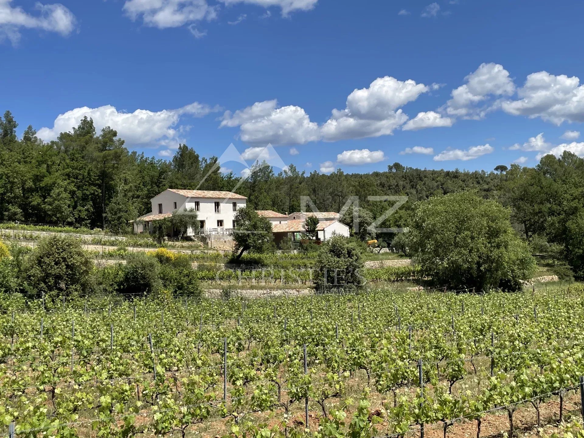 CHARMING LITTLE CONFIDENTIAL ORGANIC VINEYARD ESTATE