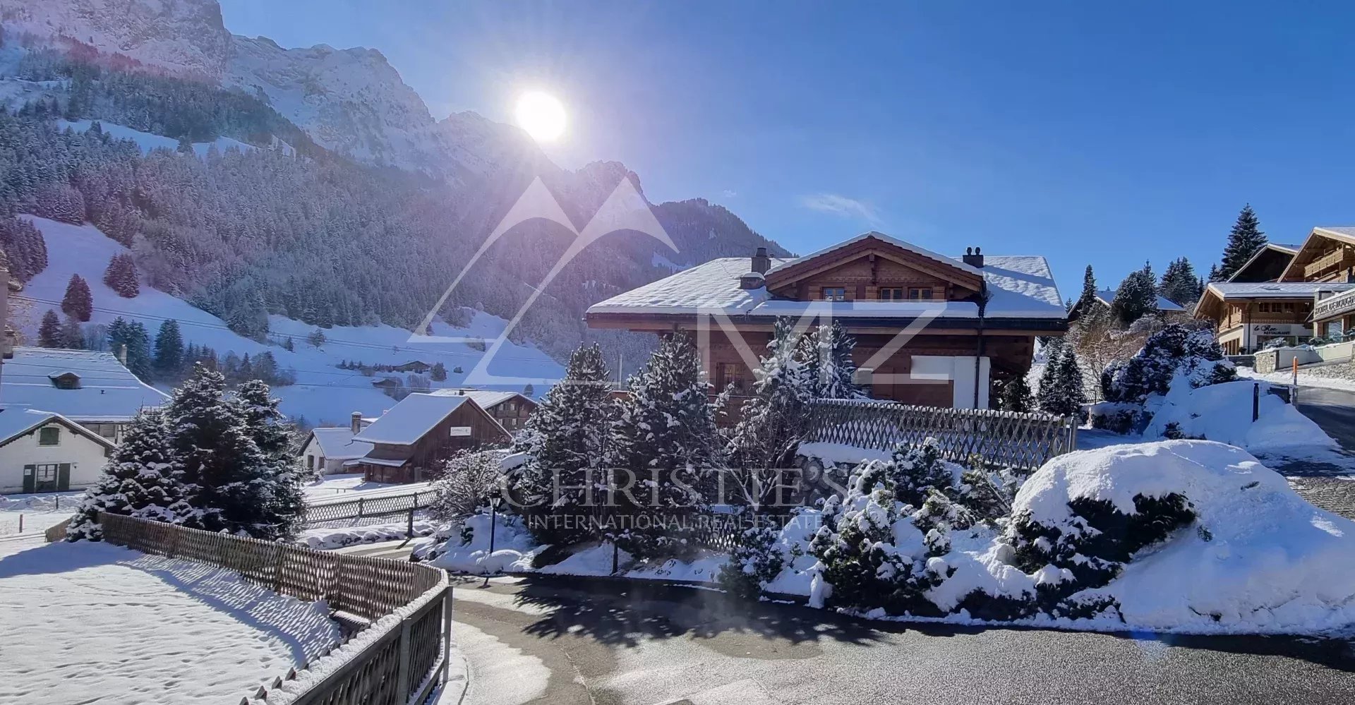 Dachgeschosswohnung mit spektakulärem Bergblick