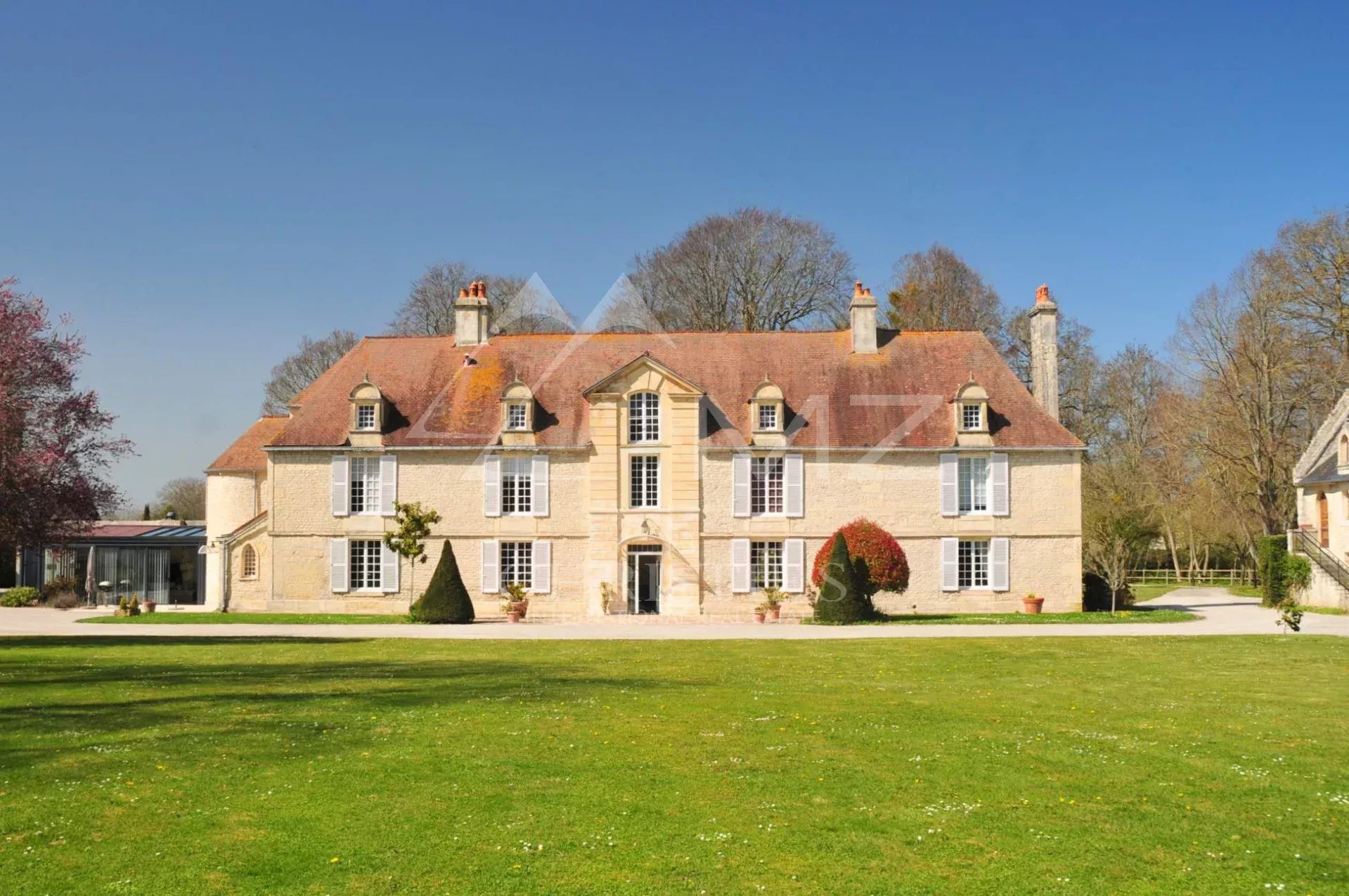 FANTASTIQUE CHÂTEAU AVEC DÉPENDANCES SUR UN VASTE PARC