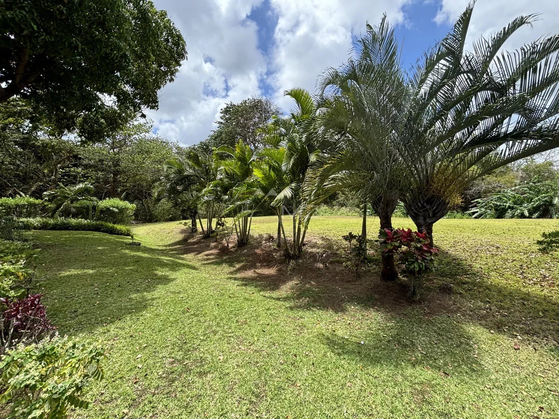 Magnifique villa sur Golf - Bel Ombre