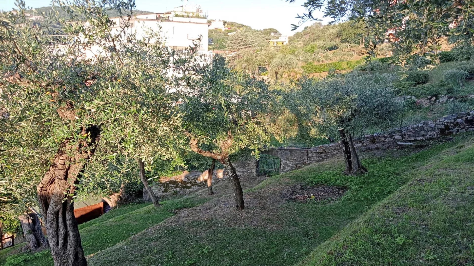 Villa située sur la place principale de Lerici avec jardin et vue sur la mer