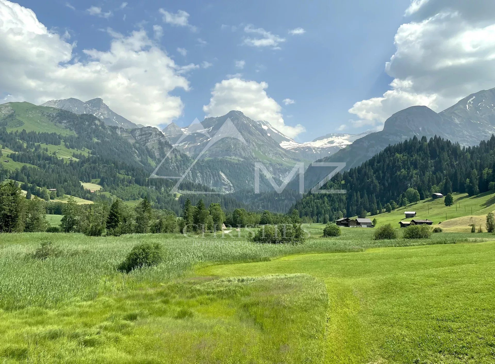 Elegantes Chalet zur Saisonmiete in Lauenen