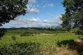 A VINEYARD ESTATE IN THE FAUGÈRES APPELLATION