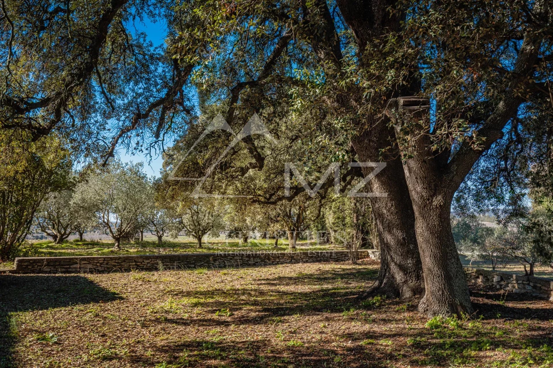 Gordes - Old 19th century farm to renovate