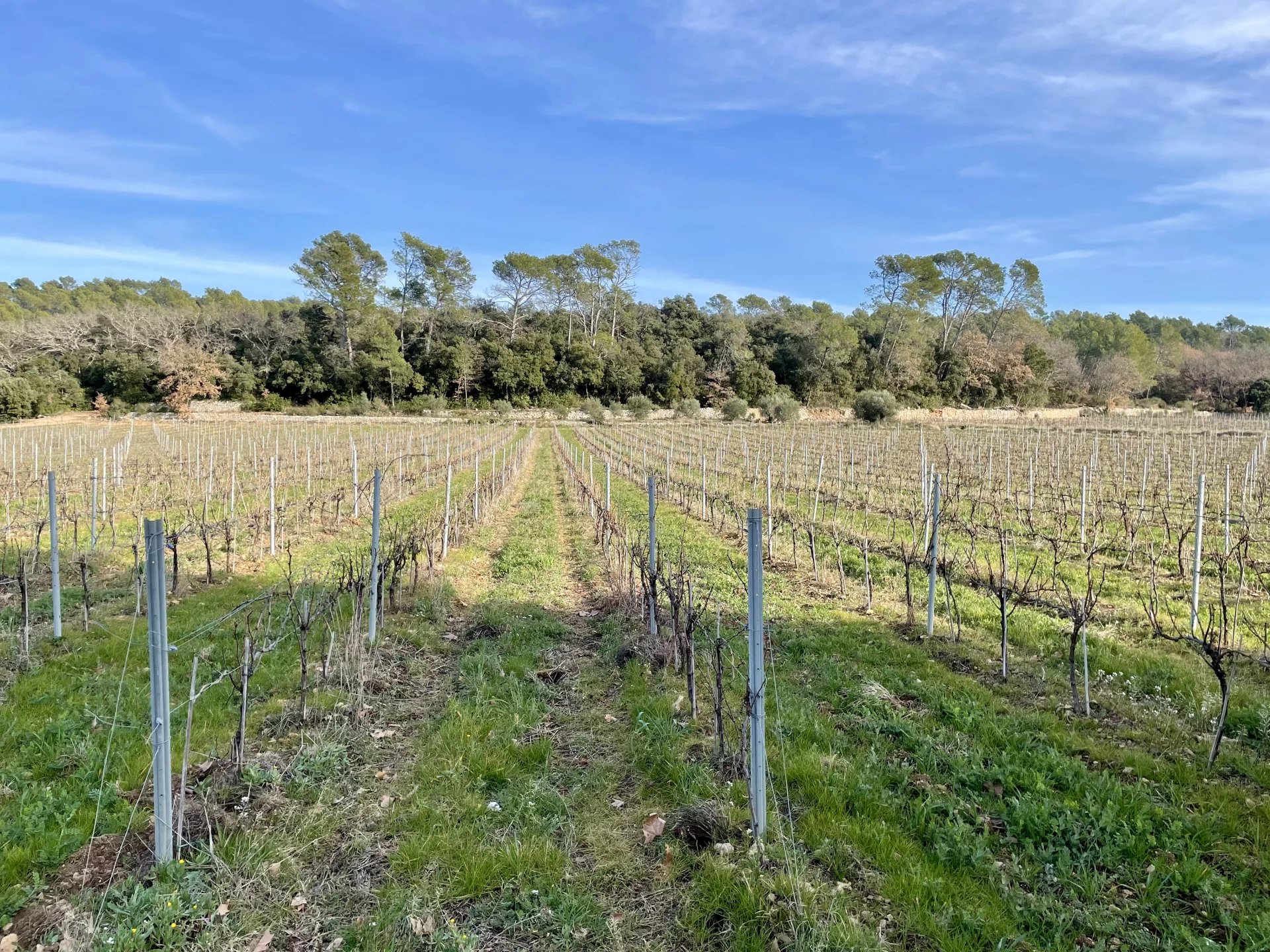 BASTIDE DE CHARME AU COEUR DU TERROIR DES CÔTES DE PROVENCE