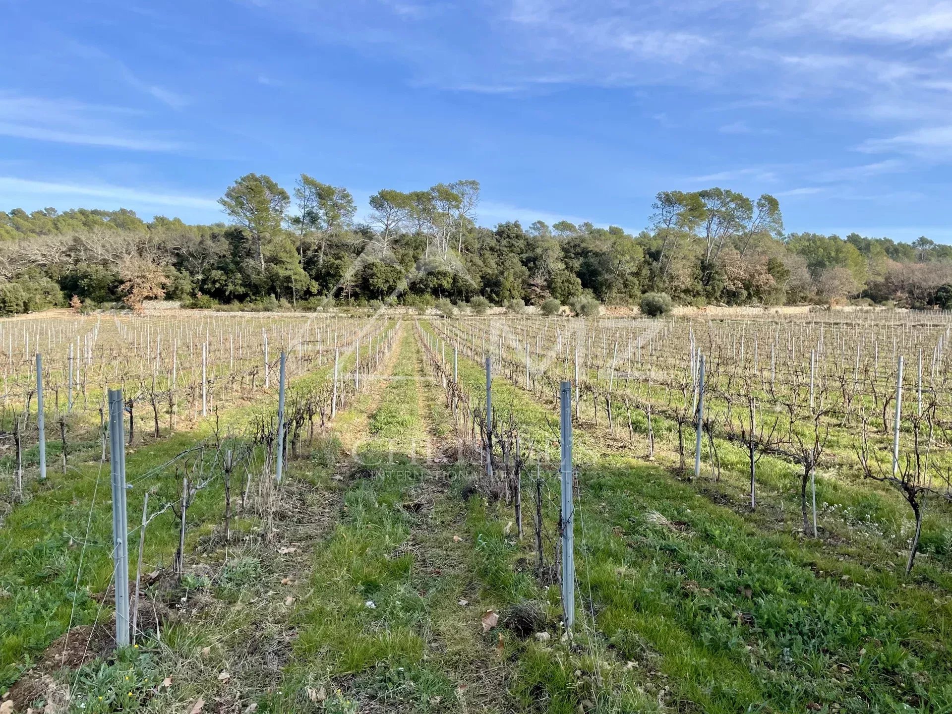 BASTIDE DE CHARME AU COEUR DU TERROIR DES CÔTES DE PROVENCE