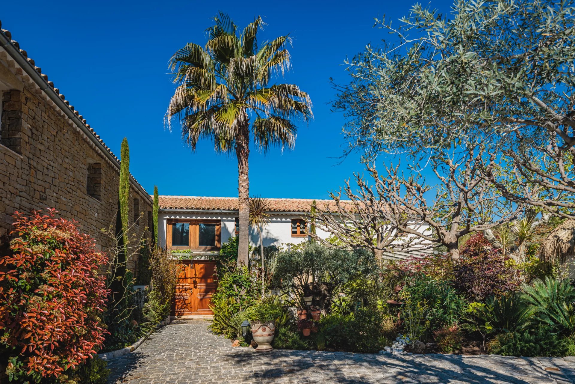 DOMAINE OLÉO-VITICOLE DE STANDING - AOP BANDOL