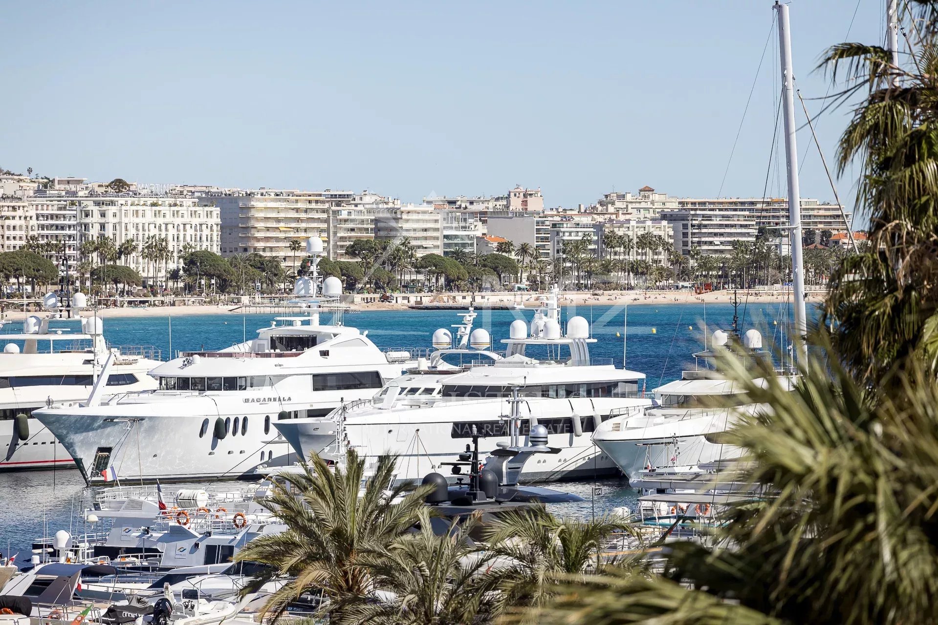 Exklusivität - Cannes Plage du Midi - Penthouse Panoramablick aufs Meer