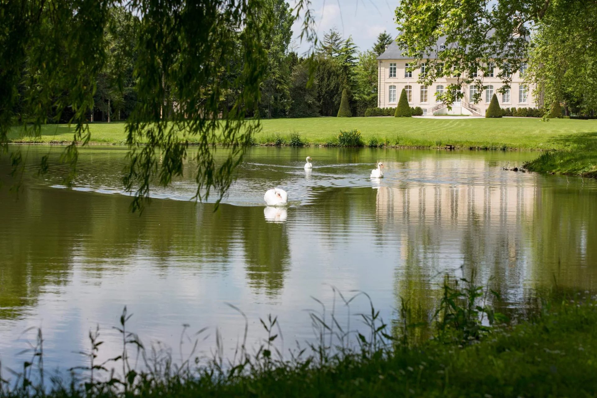 Haras d'élevage et de villégiature - 120 hectares