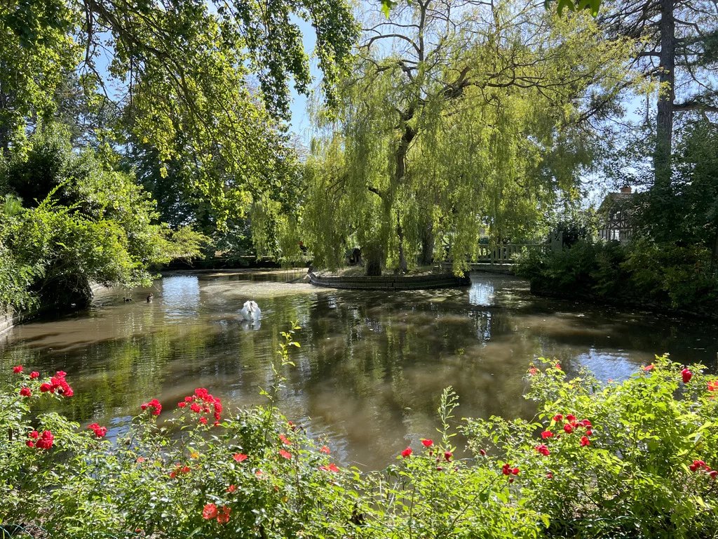 Manoir Anglo-Normand - Parc