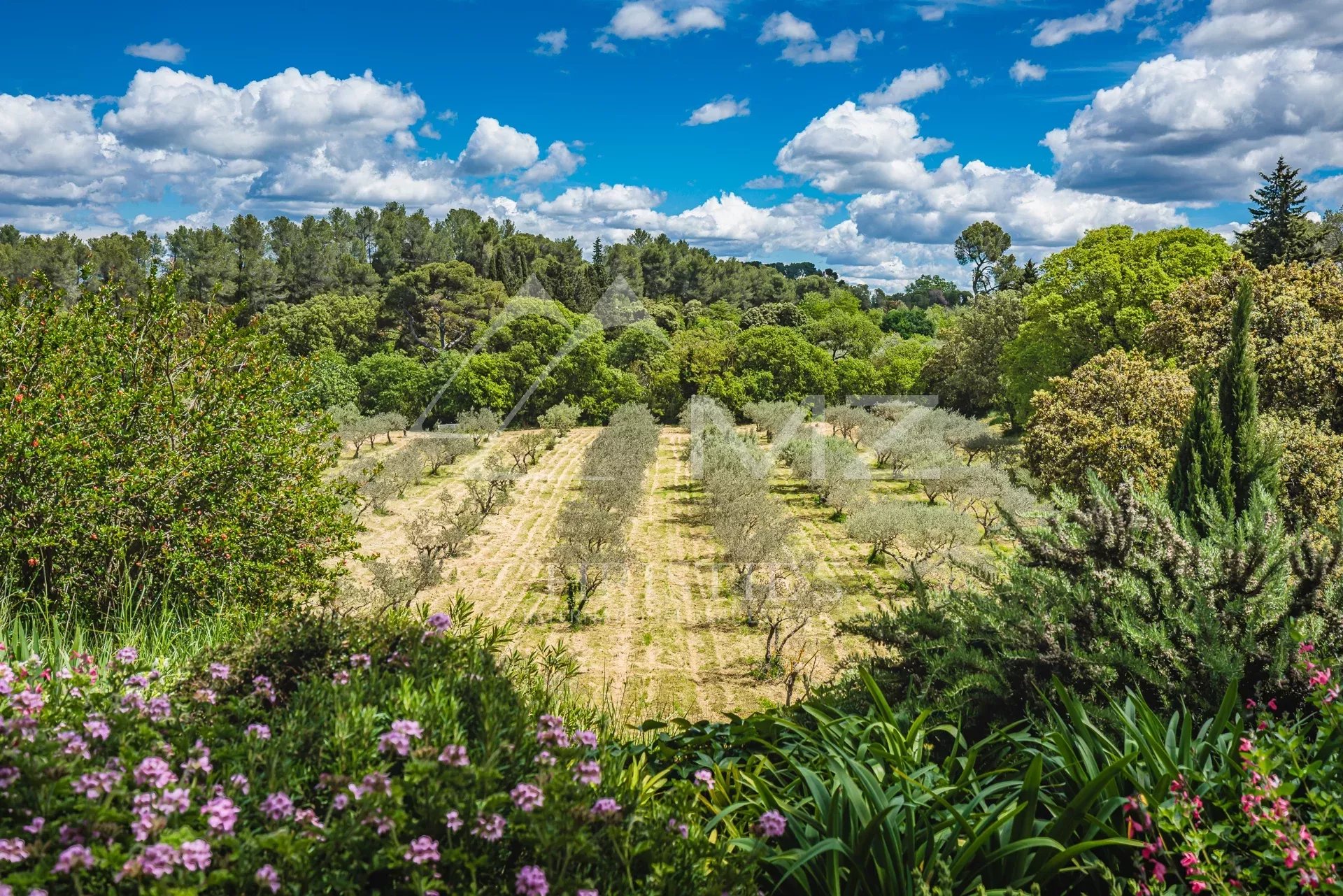 Luxueuse propriété avec jardin paysager près de Saint Rémy de Provence