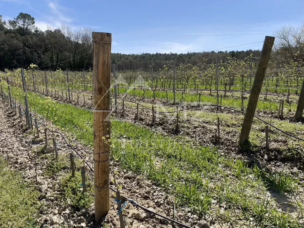 LUXURY WINE TOURISM ESTATE IN THE VAR