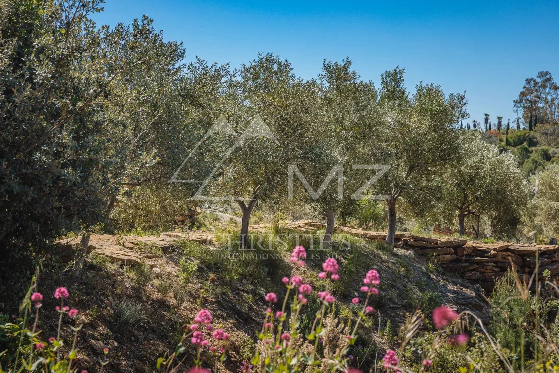 ERHABENES LANDWIRTSCHAFTLICHES ANWESEN IN DER PROVENCE