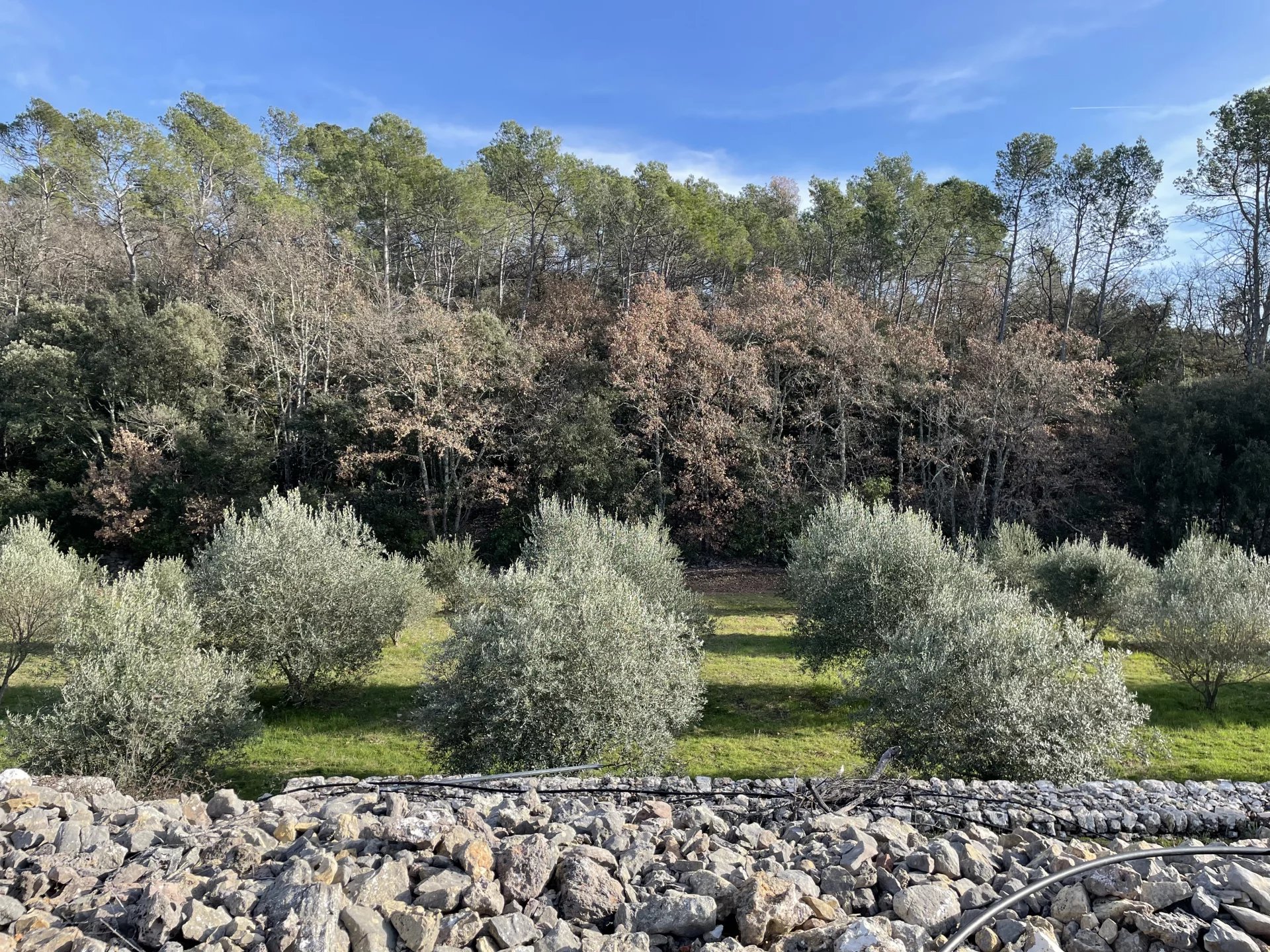 BASTIDE DE CHARME AU COEUR DU TERROIR DES CÔTES DE PROVENCE