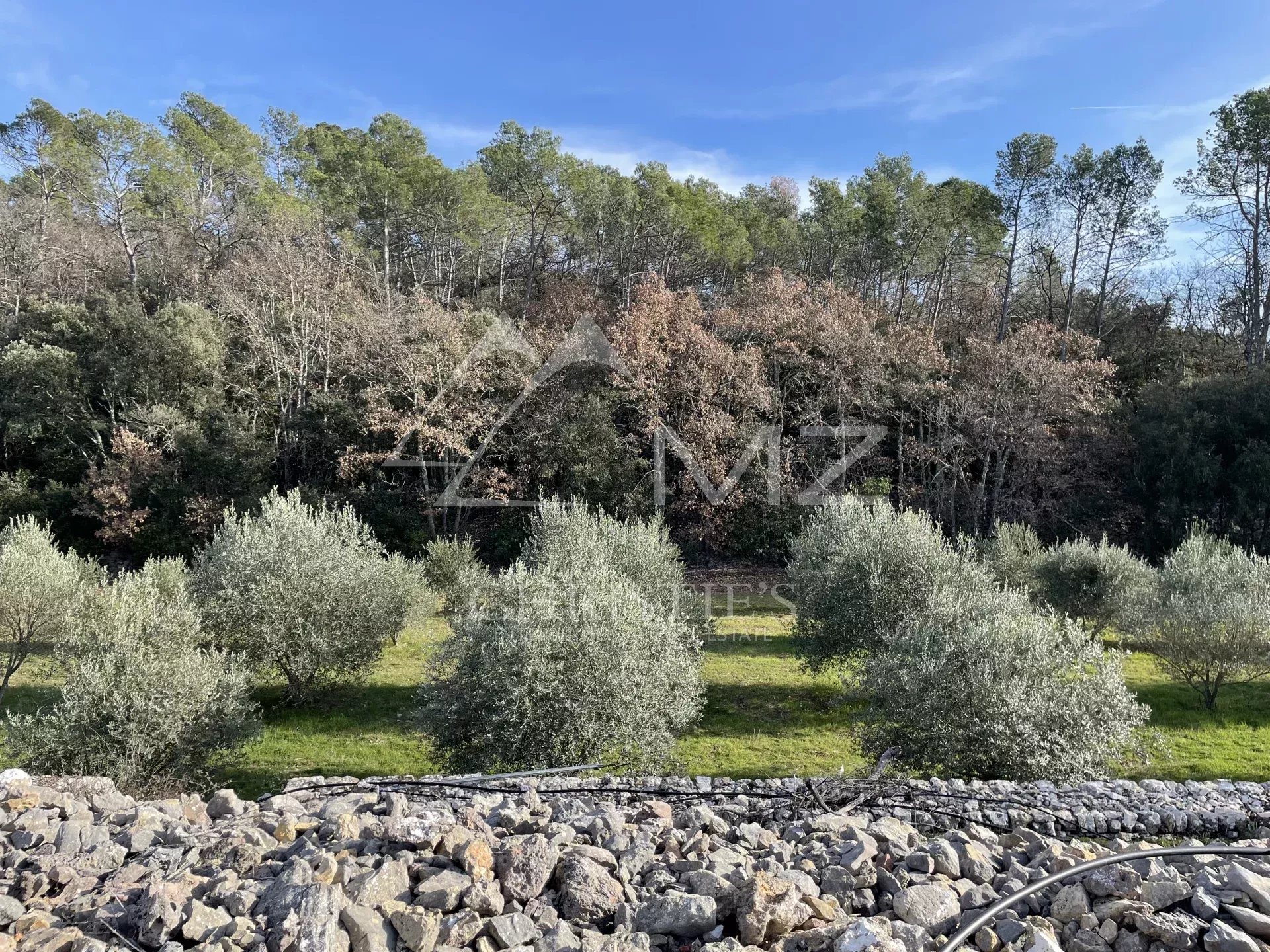 BASTIDE DE CHARME AU COEUR DU TERROIR DES CÔTES DE PROVENCE