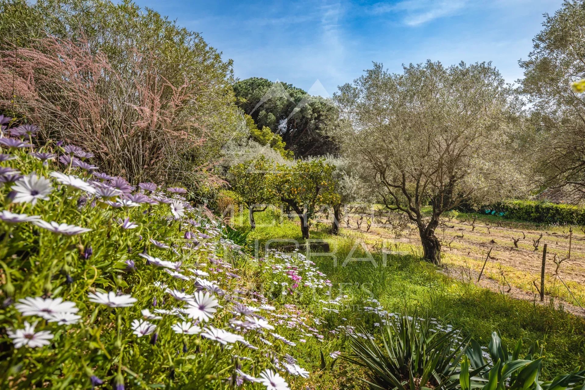 Belle propriété à St-Tropez