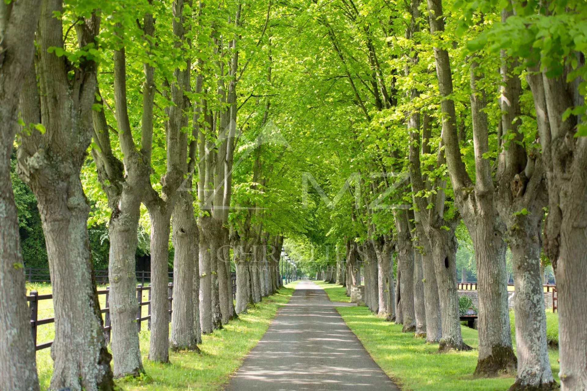 Haras d'élevage et de villégiature - 120 hectares