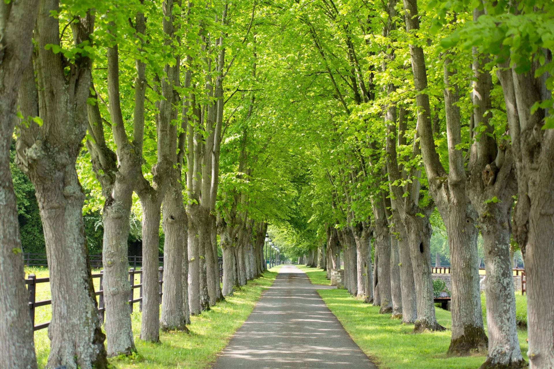 Haras d'élevage et de villégiature - 120 hectares