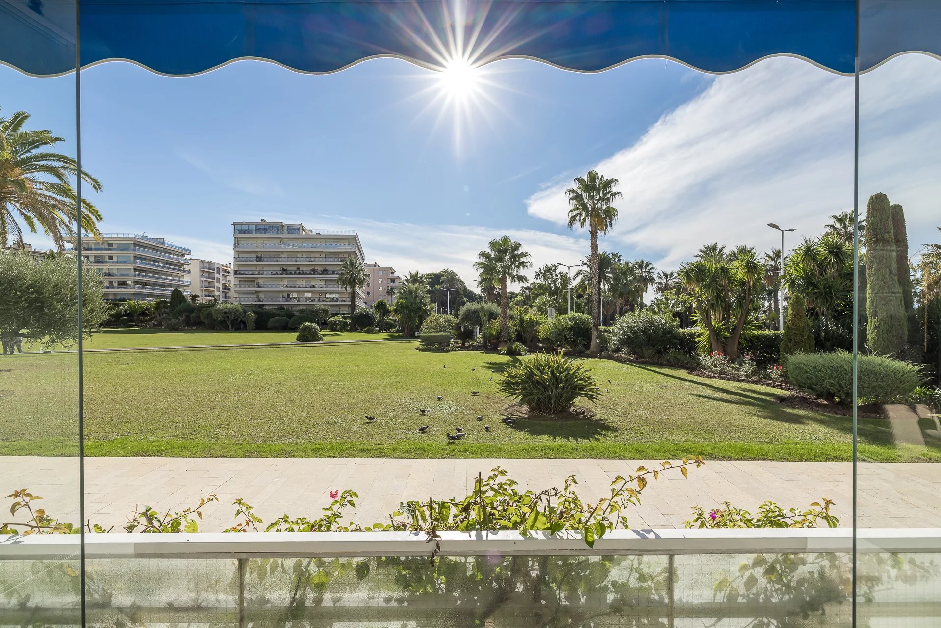 Cannes - Croisette - Superbe appartement