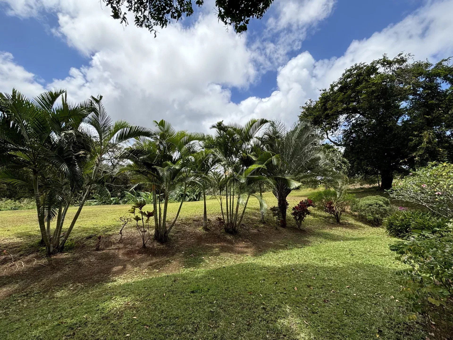 Magnifique villa sur Golf - Bel Ombre