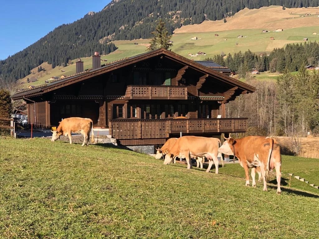 Chalet élégant en location saisonnière à Lauenen