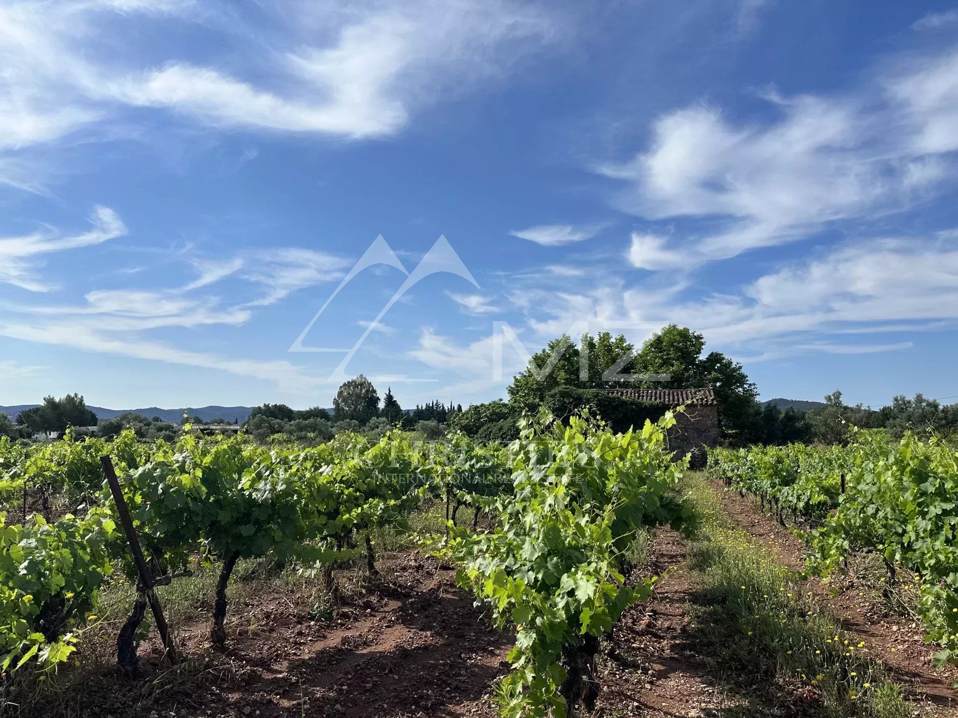 UN OUTIL DE PRODUCTION AU COEUR DU TRIANGLE D'OR DES CÔTES DE PROVENCE