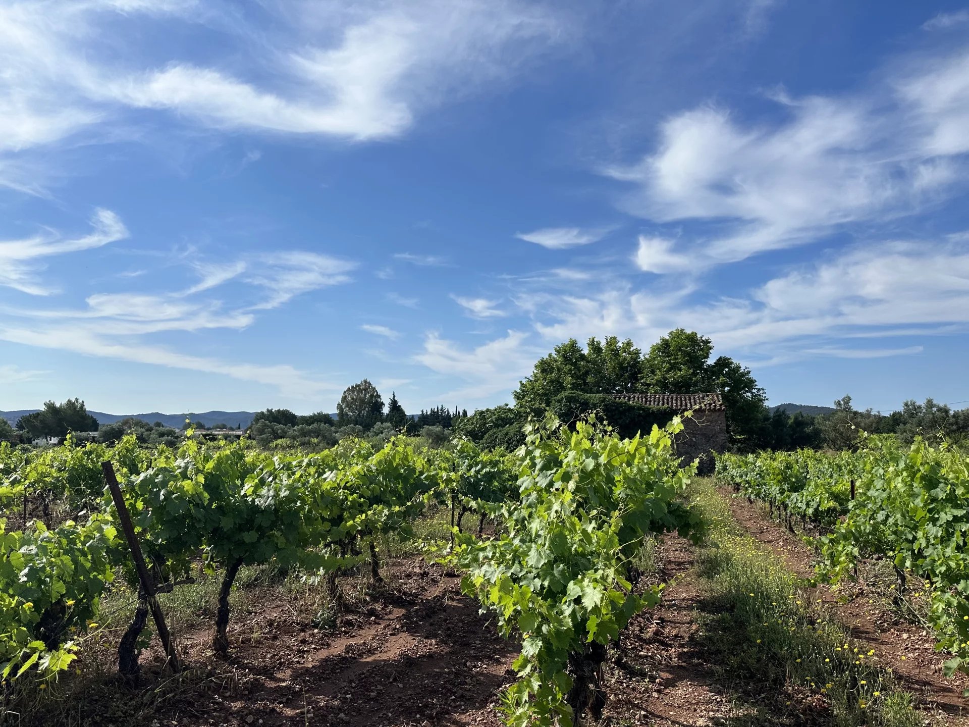 UN OUTIL DE PRODUCTION AU COEUR DU TRIANGLE D'OR DES CÔTES DE PROVENCE