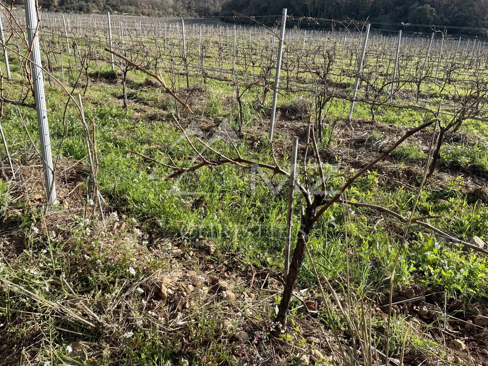 BASTIDE DE CHARME AU COEUR DU TERROIR DES CÔTES DE PROVENCE