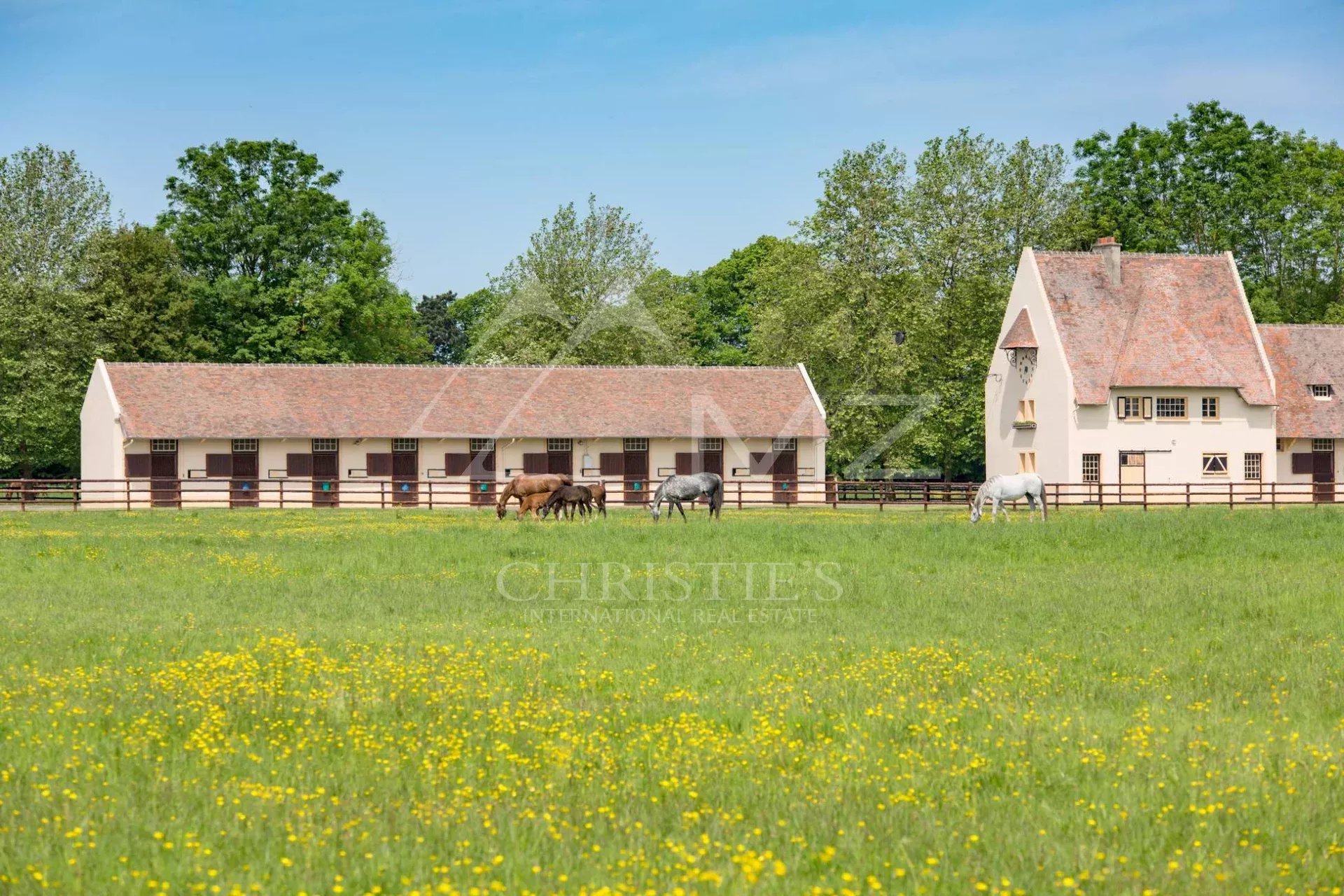 Haras d'élevage et de villégiature - 120 hectares