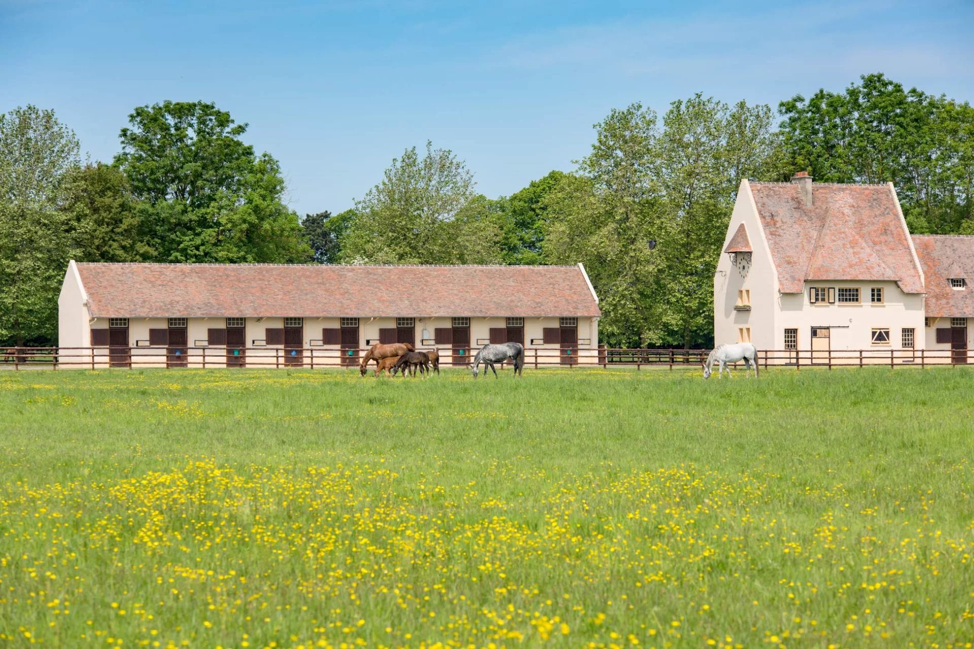 Haras d'élevage et de villégiature - 120 hectares