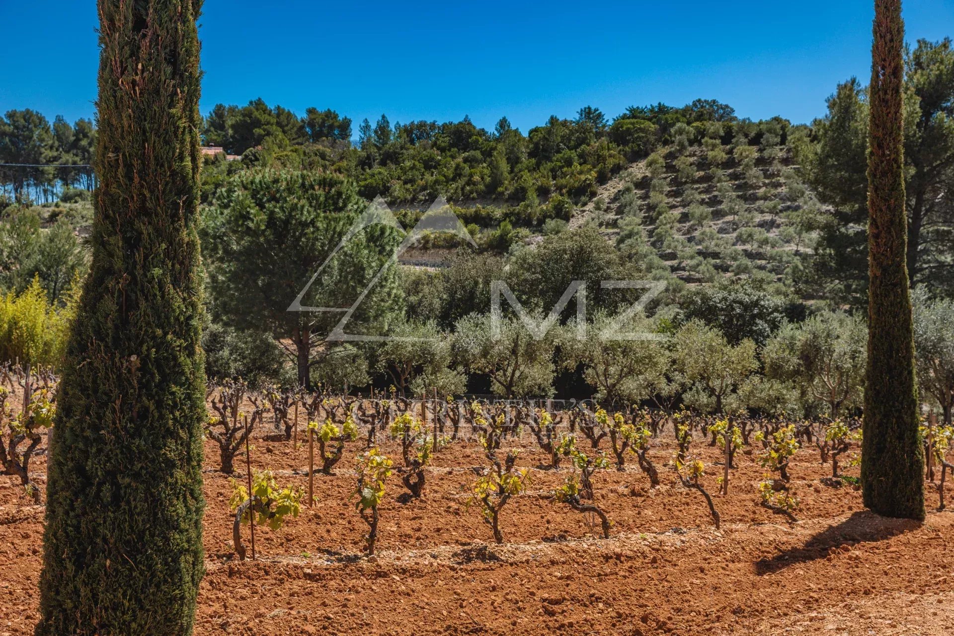 DOMAINE OLÉO-VITICOLE DE STANDING - AOP BANDOL