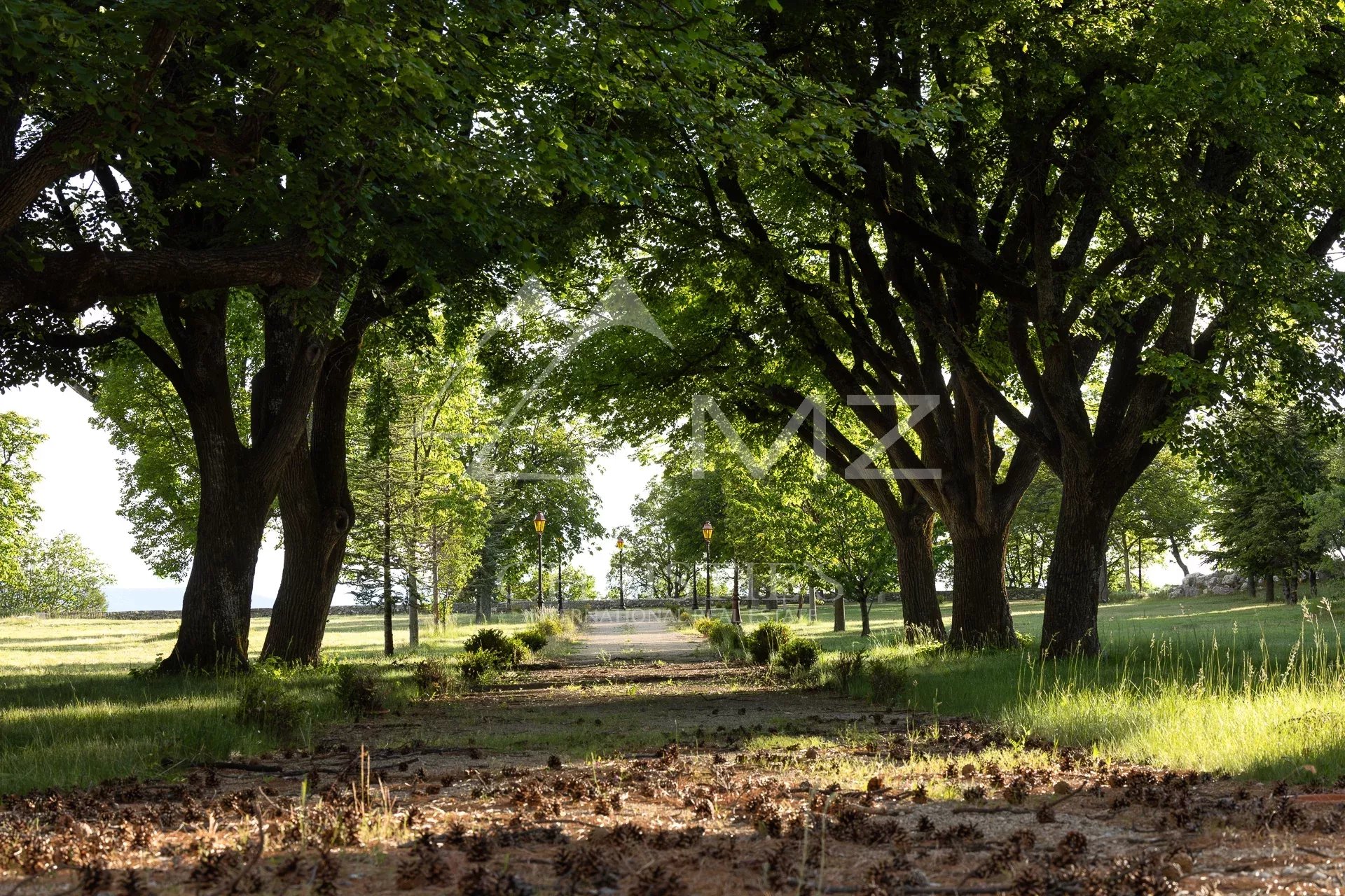 Aiguines - Remarquable domaine avec château provençal