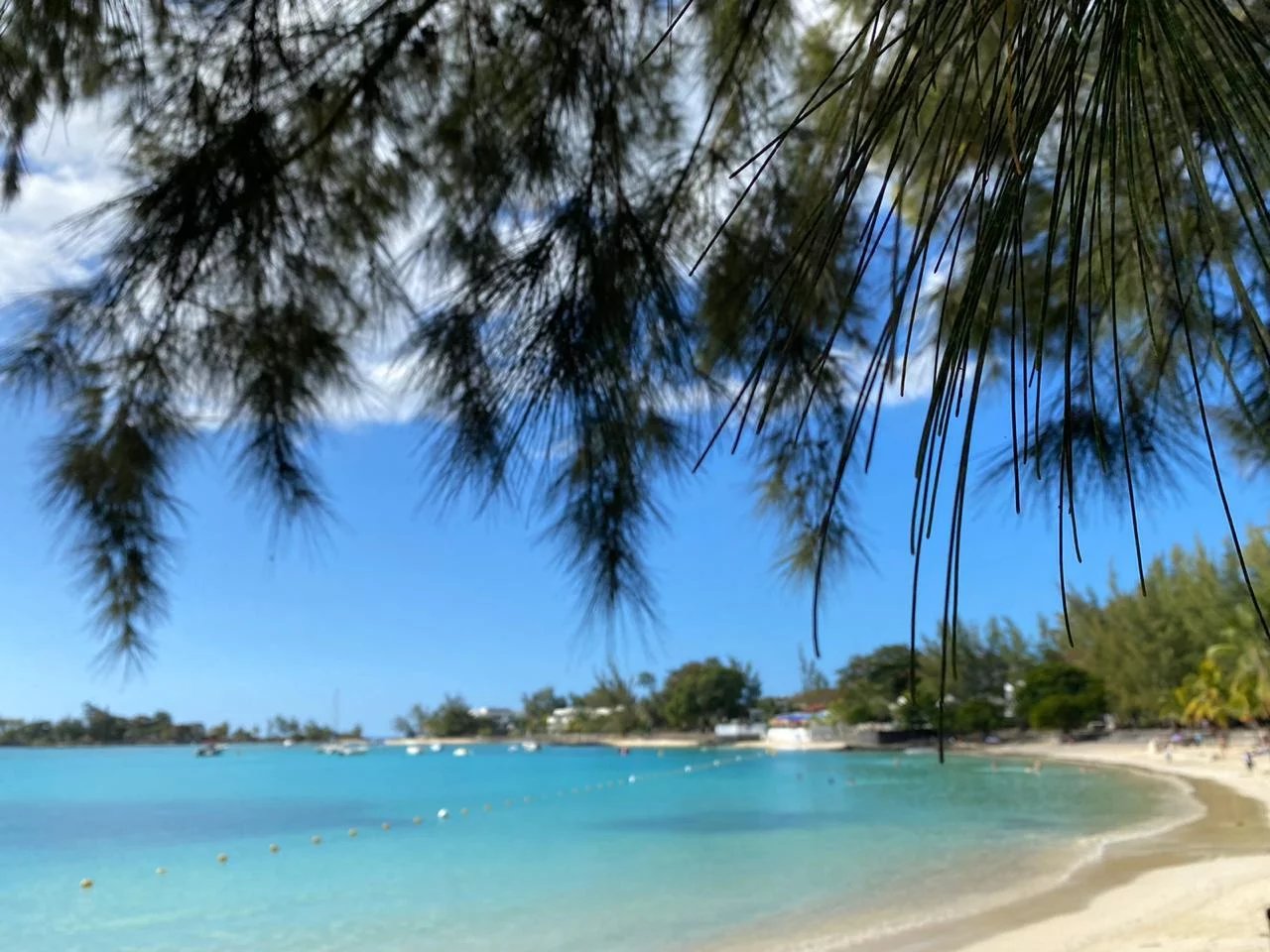 Appartement 4 chambres pieds dans l'eau - Bain Boeuf