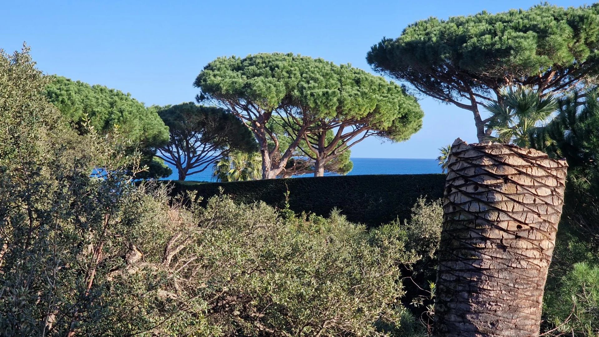 A seulement 250 mètres des plages de Pampelonne -  Opportunité d'une belle propriété à rénover