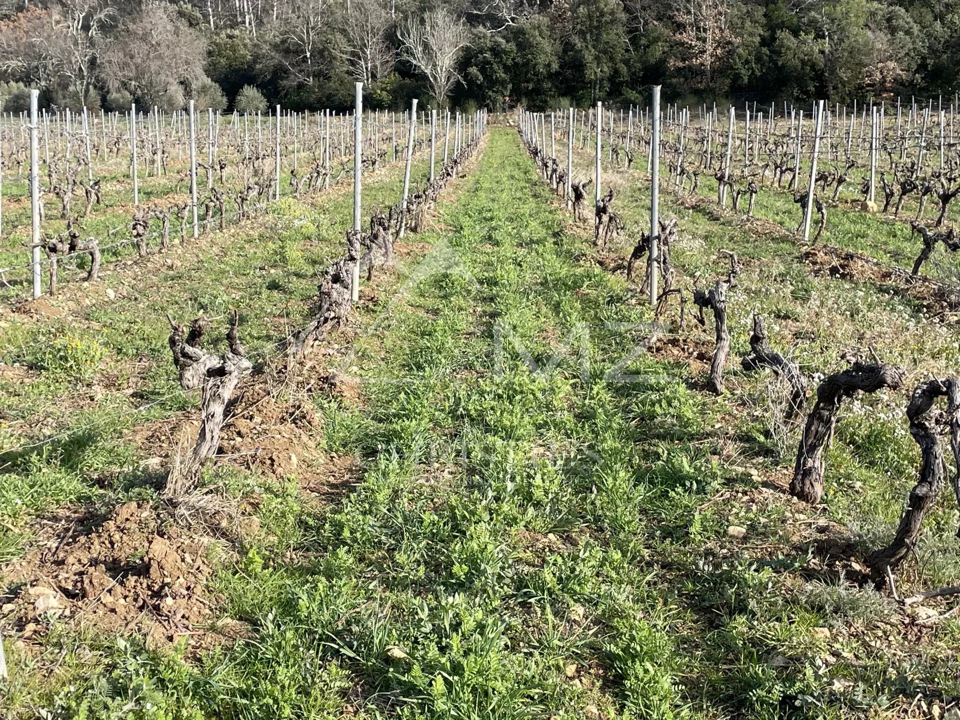 BASTIDE DE CHARME AU COEUR DU TERROIR DES CÔTES DE PROVENCE