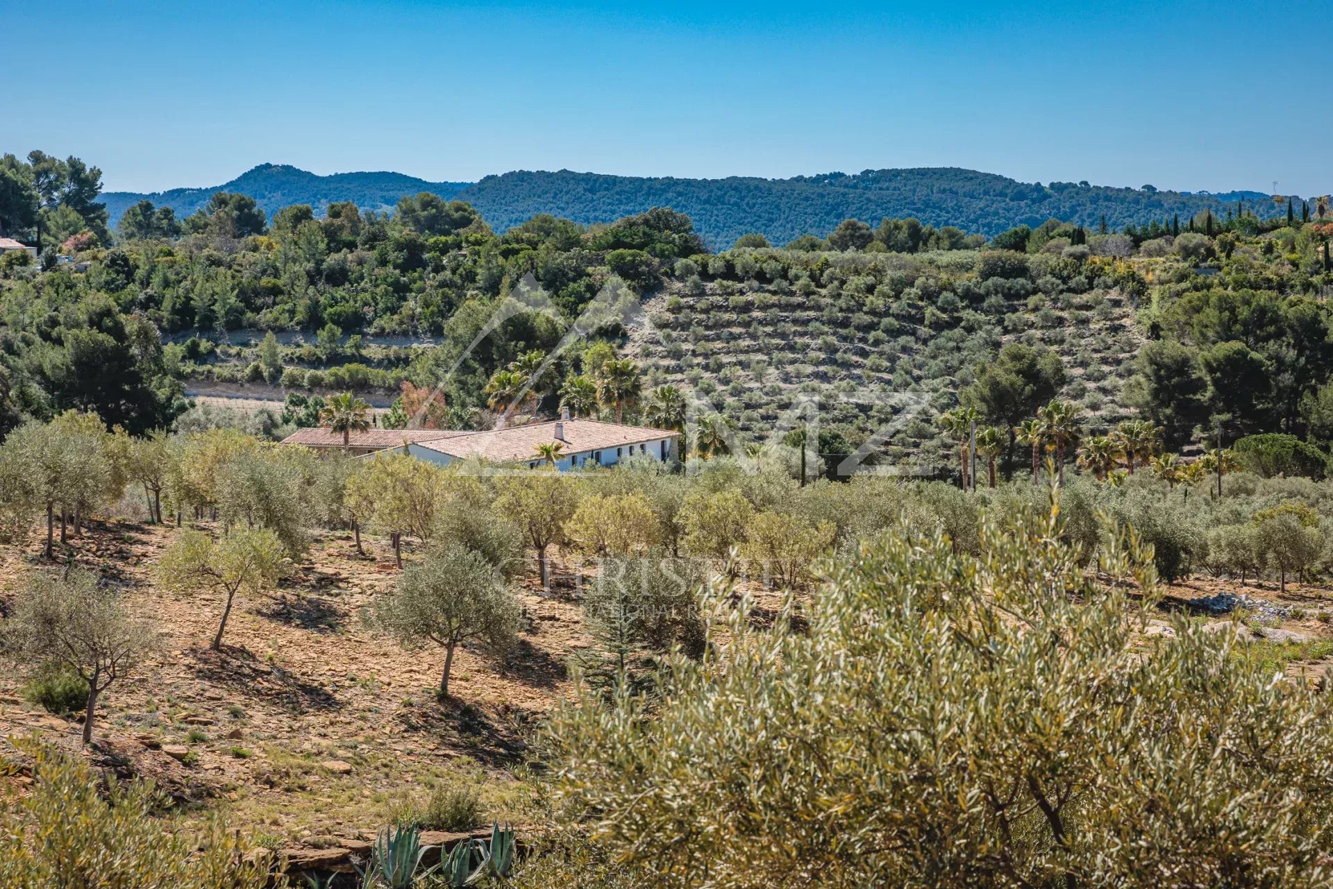 DOMAINE OLÉO-VITICOLE DE STANDING - AOP BANDOL